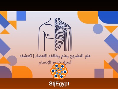 علم التشريح وعلم وظائف الأعضاء | اكتشف أسرار جسم الإنسان