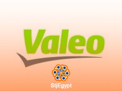 Site Accounting Support -Valeo