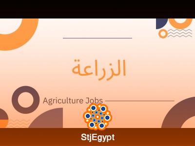 مدير مزرعة إنتاج زراعي - ابو قرقاص - المنيا