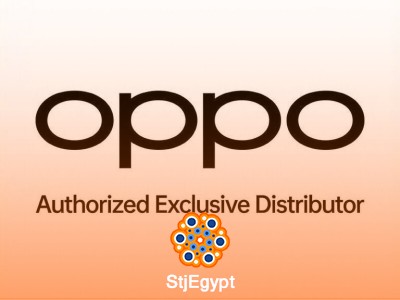 Treasury Accountant – OPPO Egypt Finance Team