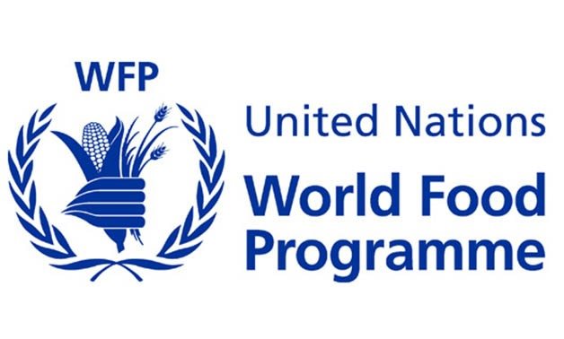 HR Intern , UN World Food Programme WFP