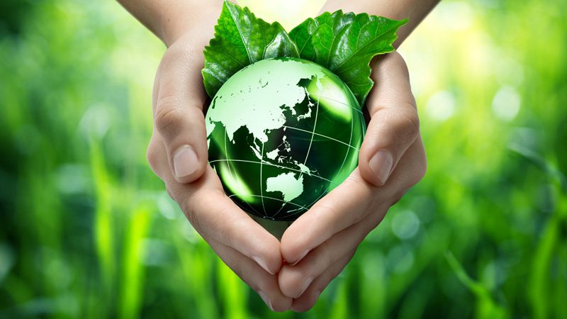 Ecology - علم البيئة