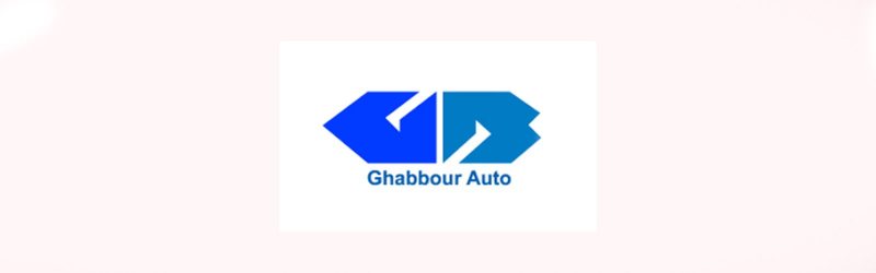 Accountants, Ghabbour