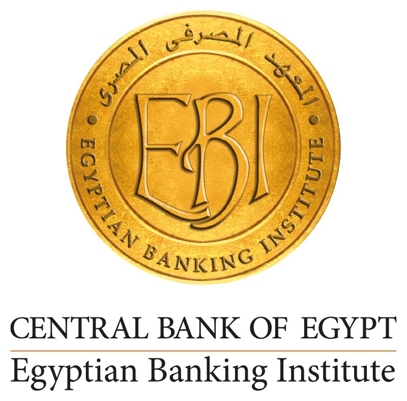 Dot Net Developer at Egyptian Banking Institute