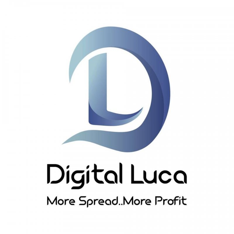 Financial Accountant , Digitalluca